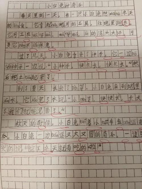 吃瓜大赛作文600字,一场舌尖上的吃瓜大赛盛况